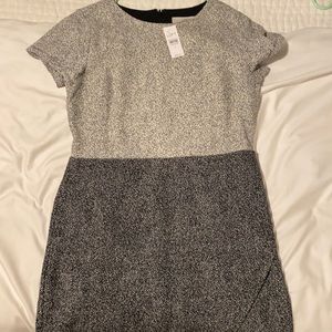 Loft size 8 dress never worn